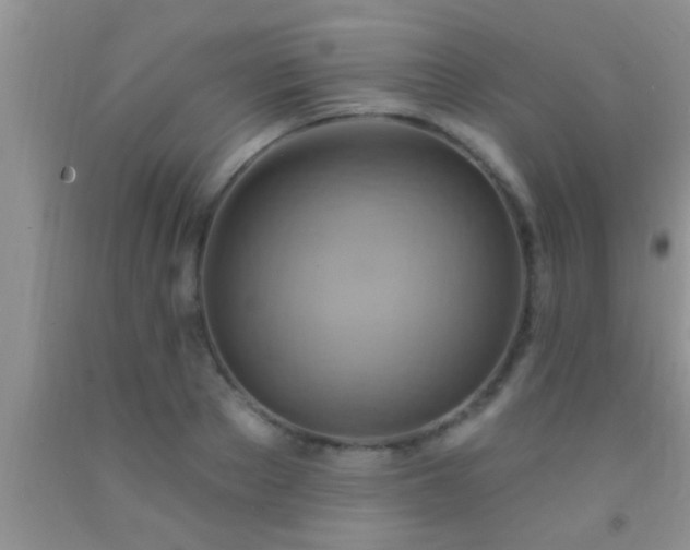 X0000092110889200709191325