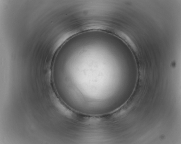 X0000092110890200709191325