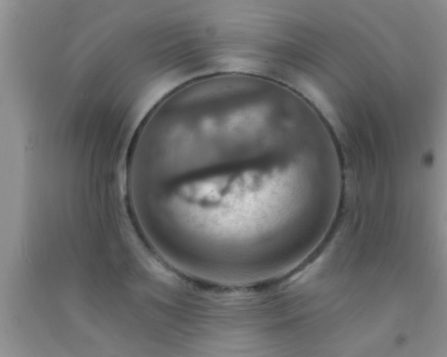 X0000092110891200709191325