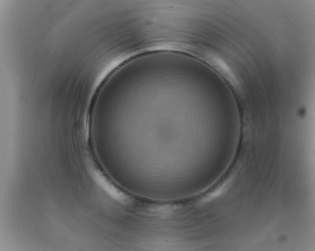 X0000092110892200709191325