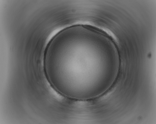 X0000092110894200709191325