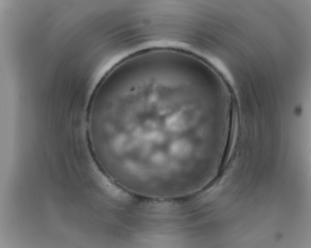 X0000092110895200709191325