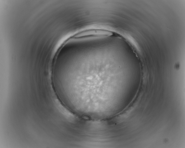 X0000092110896200709191325