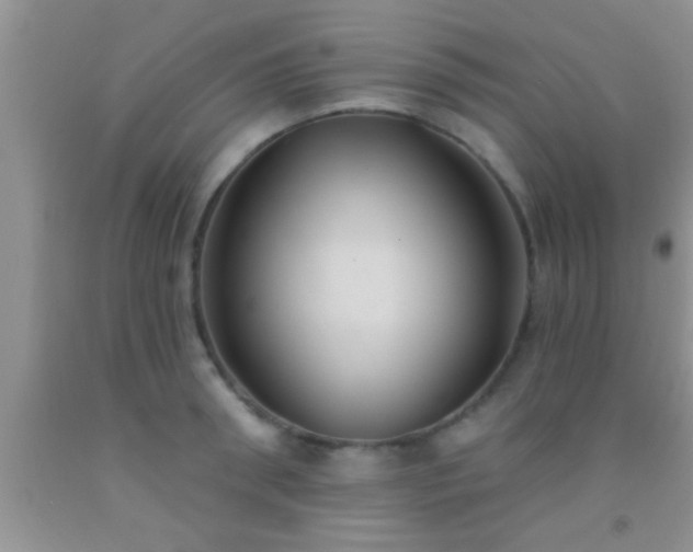 X0000092110898200709191325