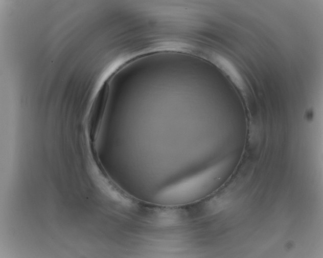 X0000092110899200709191325