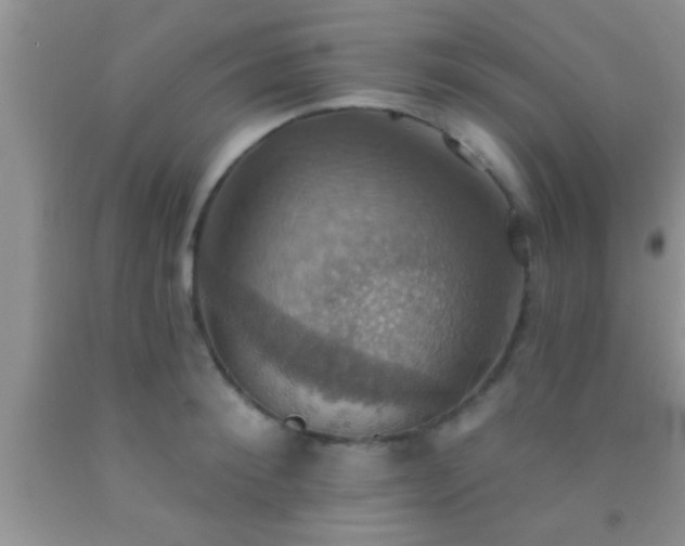 X0000092110900200709191325