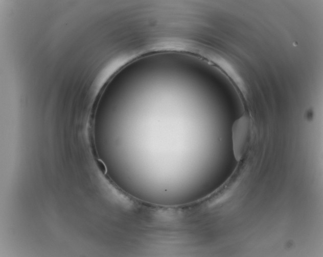 X0000092110901200709191325