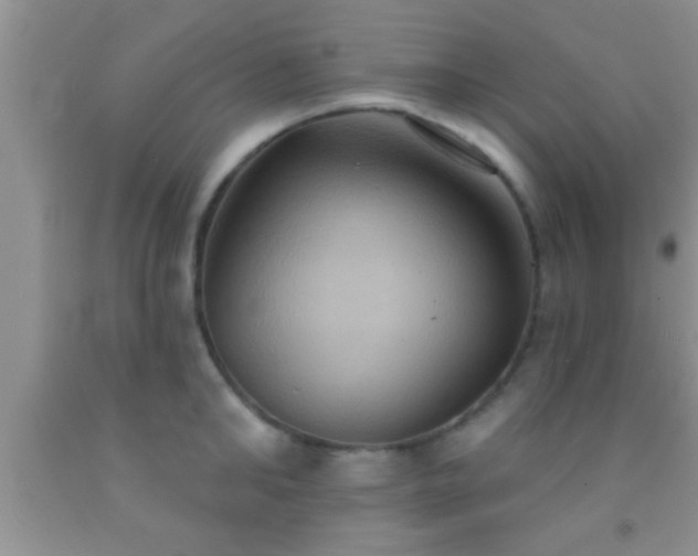 X0000092110902200709191325