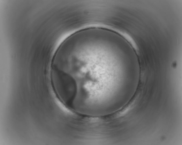 X0000092110903200709191325