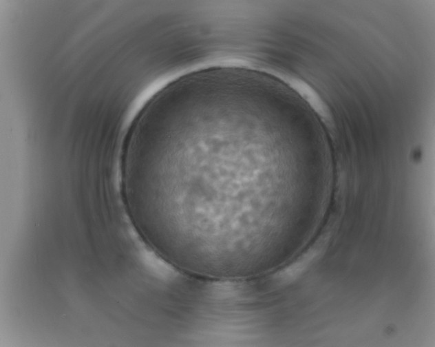 X0000092110904200709191325