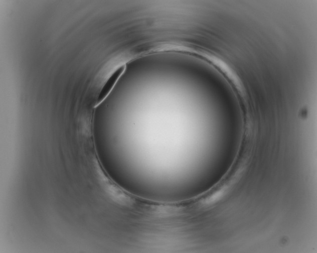 X0000092110905200709191325