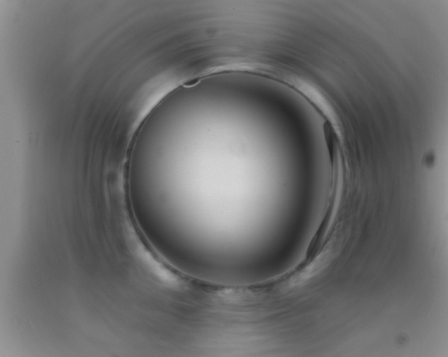 X0000092110906200709191325