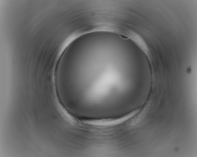 X0000092110907200709191325