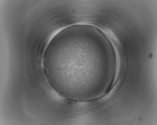 X0000092110908200709191325