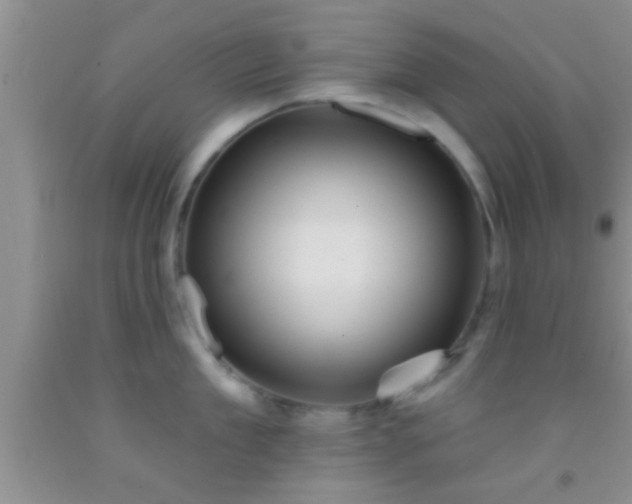 X0000092110909200709191325