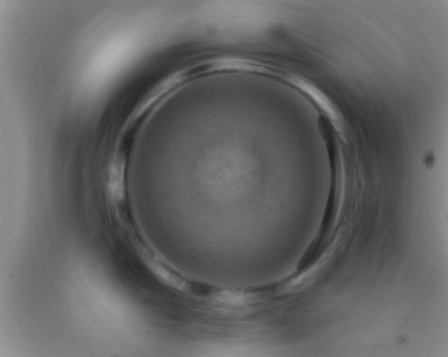 X0000092110910200709191325