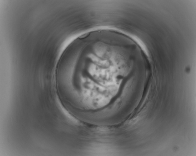 X0000092110911200709191325