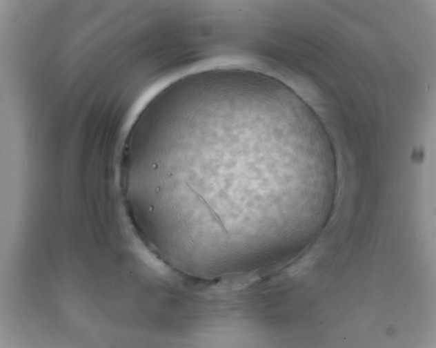 X0000092110912200709191325