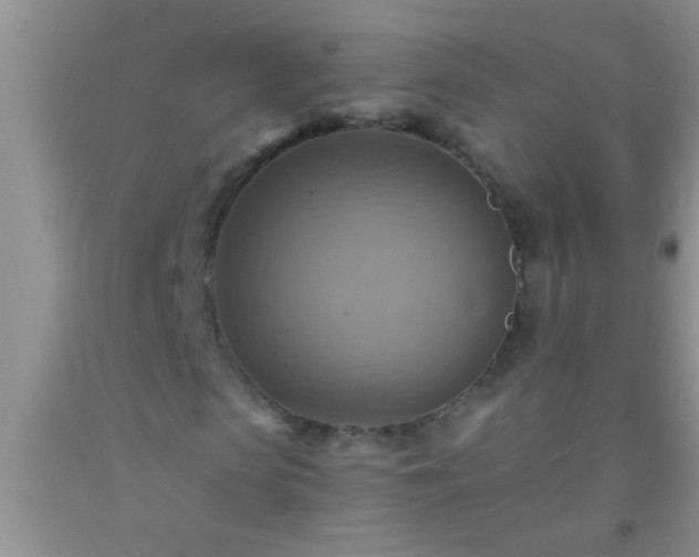 X0000092110913200709191325