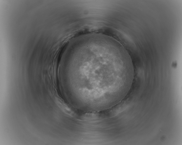 X0000092110914200709191325