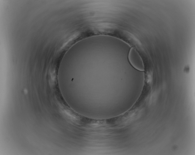 X0000092110915200709191325