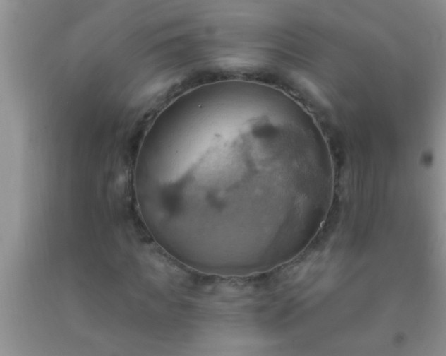 X0000092110917200709191325