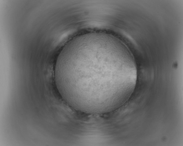 X0000092110918200709191325