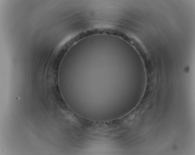 X0000092110919200709191325