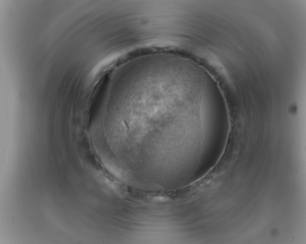 X0000092110920200709191325