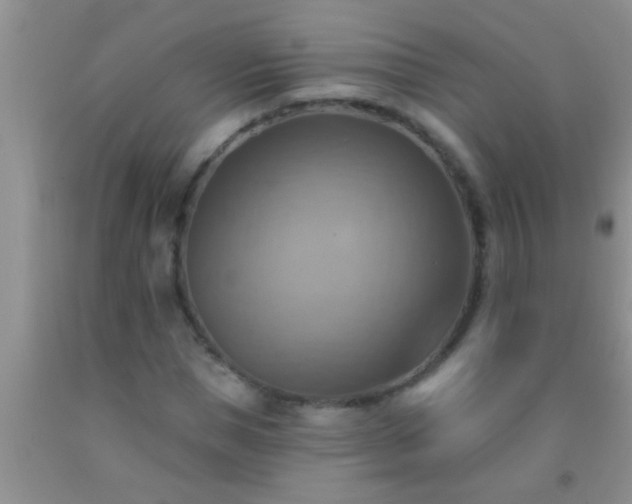 X0000092110921200709191325