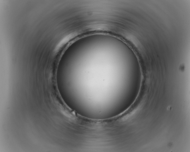 X0000092110922200709191325