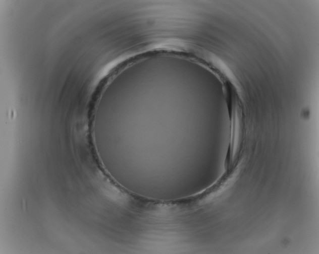 X0000092110923200709191325