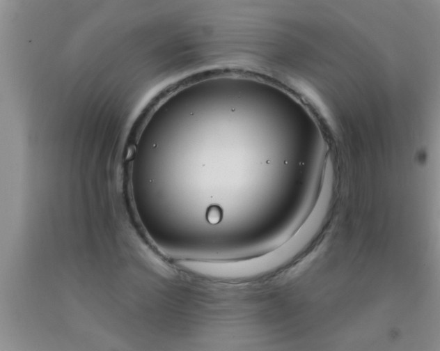 X0000092110924200709191325