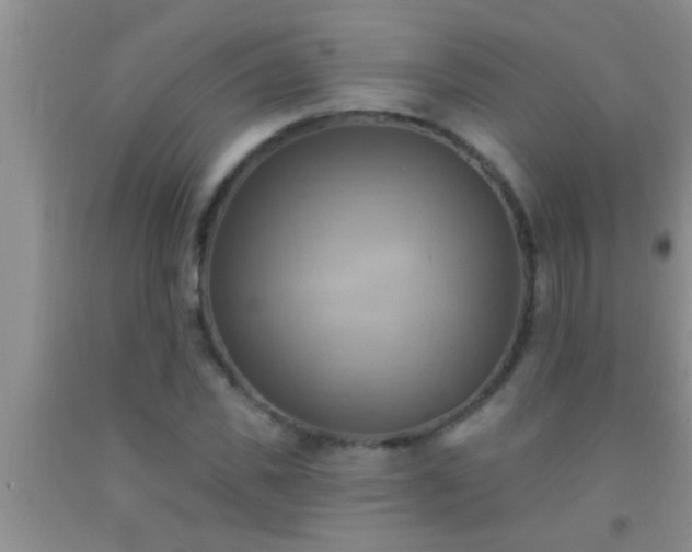 X0000092110925200709191325