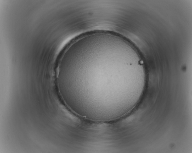 X0000092110926200709191325