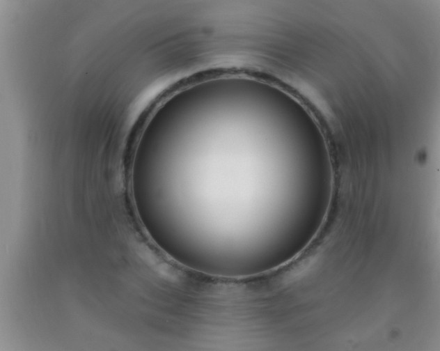 X0000092110927200709191325