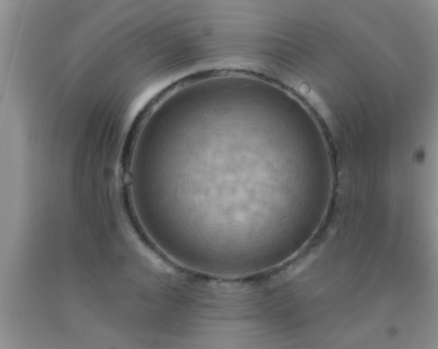 X0000092110928200709191325