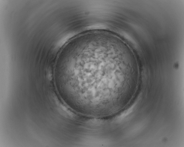 X0000092110929200709191325