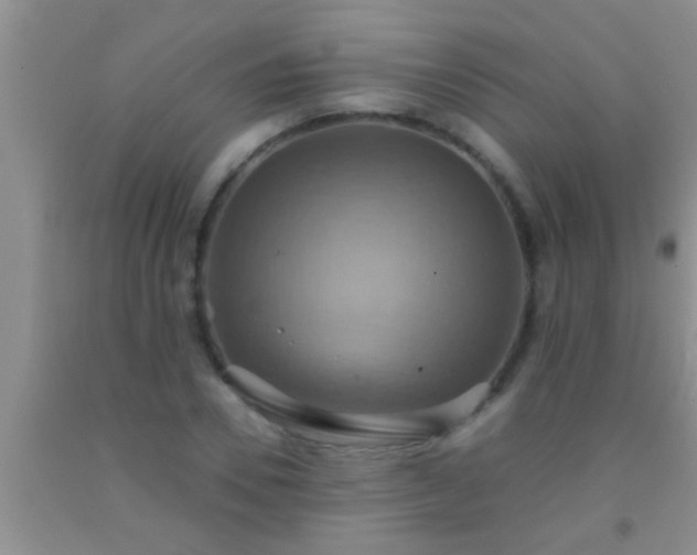 X0000092110930200709191325