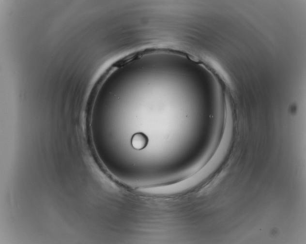 X0000092110932200709191325