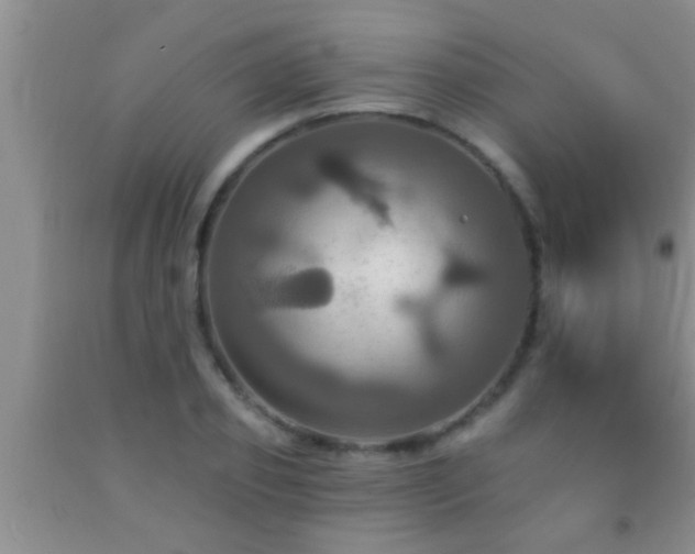 X0000092110933200709191325