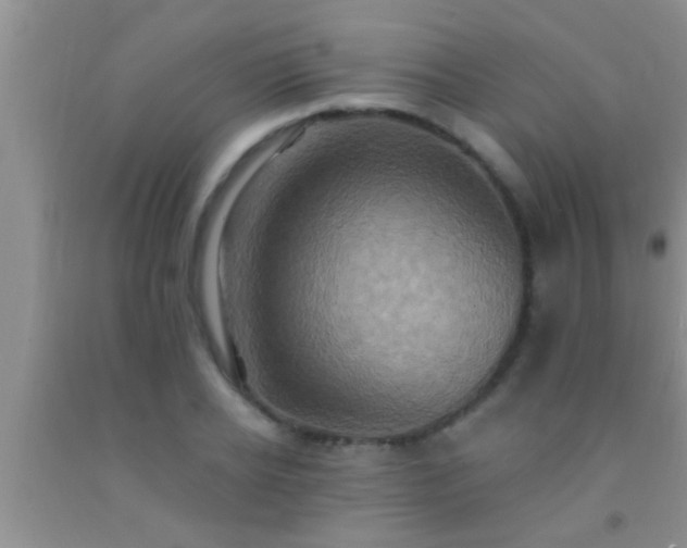 X0000092110934200709191325