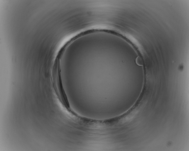 X0000092110935200709191325