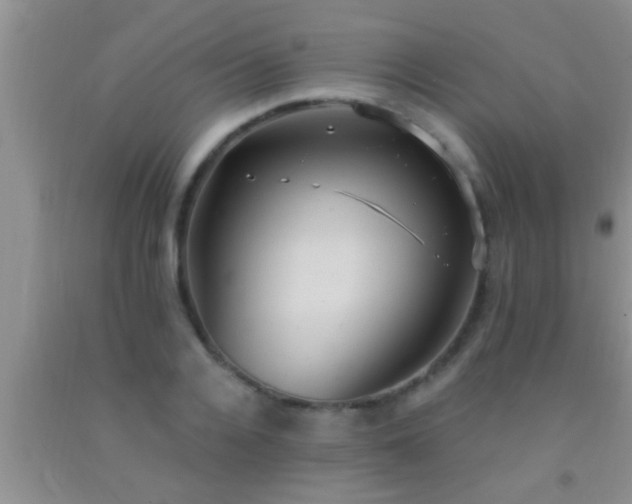 X0000092110936200709191325