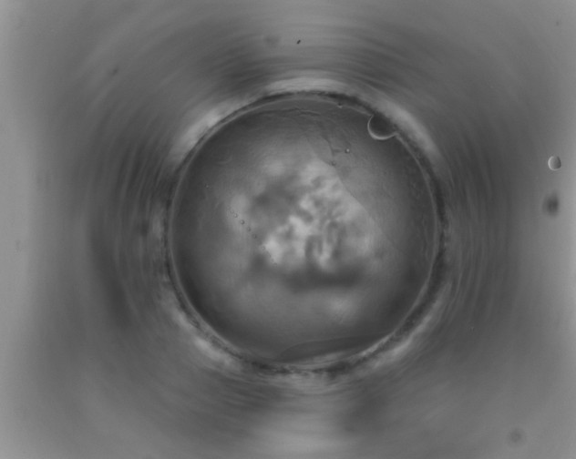 X0000092110937200709191325