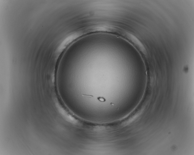 X0000092110938200709191325