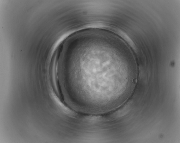 X0000092110939200709191325