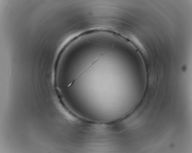 X0000092110940200709191325