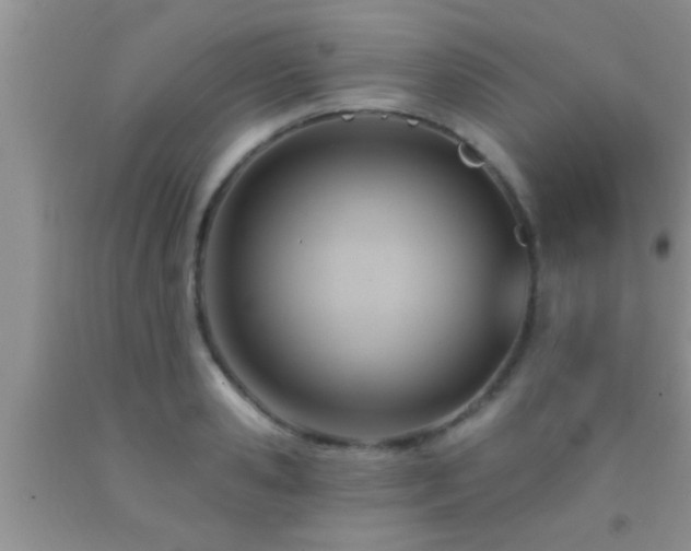 X0000092110941200709191325