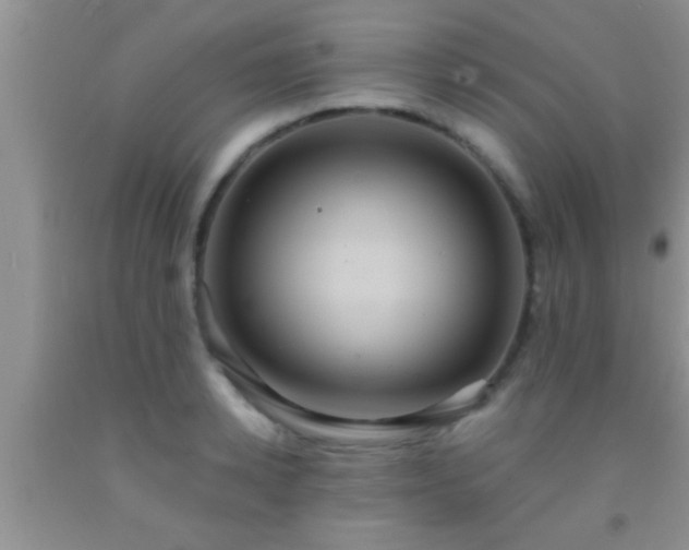 X0000092110942200709191325